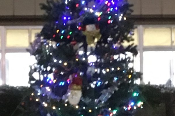 吉田高校のクリスマスツリー